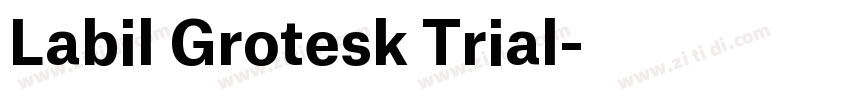 Labil Grotesk Trial字体转换